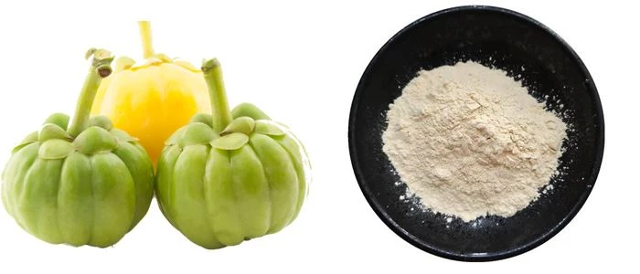 introduction of HCA powder