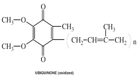 COQ 10