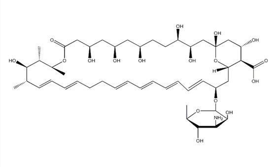 Nystatin 