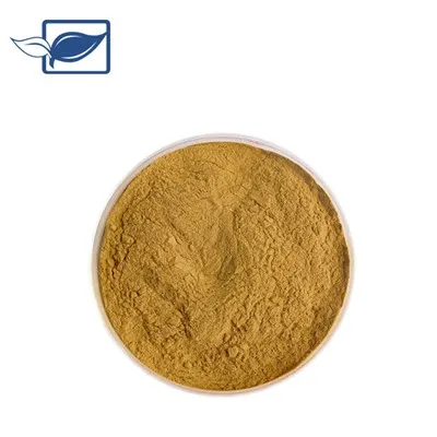 Сальвианоловая кислота B